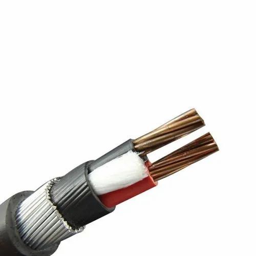 50sqmm 2 core Core Copper Armoured Cable