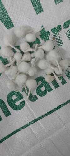 cotton wicks 