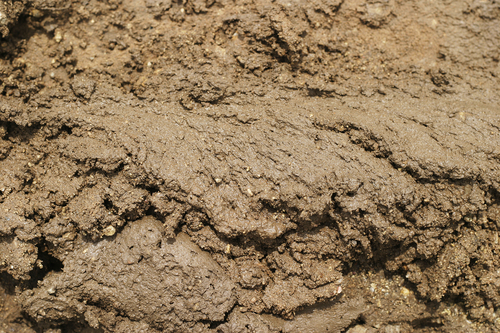 Mud