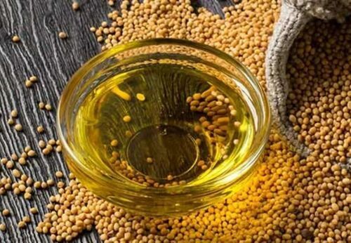 Yellow Mustard Seed Oil