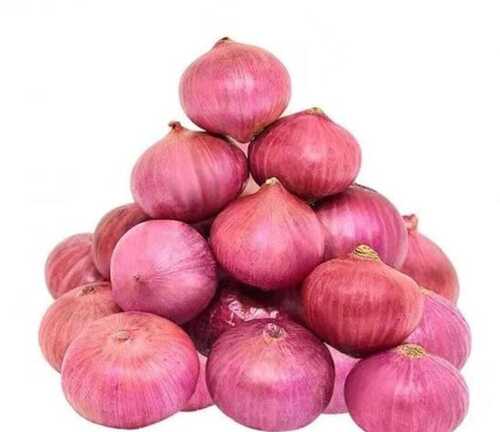 Farm Fresh Natural Red Onion