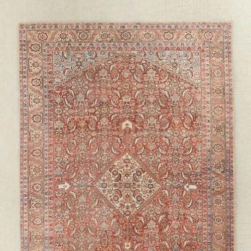 Traditional Hand Tufted Mythos Wool Carpet Area Rug 