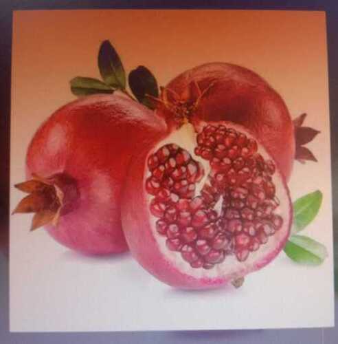 pomegranate                     