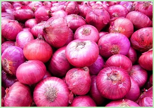 Red Onion - Seasoned, Round Shape | Long Shelf Life, Timely Delivery, Quality Tested, Nominal Price, Hygienically Packed