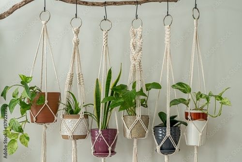  Six handmade cotton macrame plant