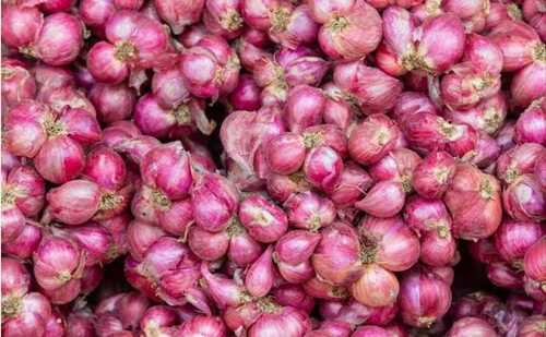 100% Organic And Farm Fresh A Grade Natural Red Onion