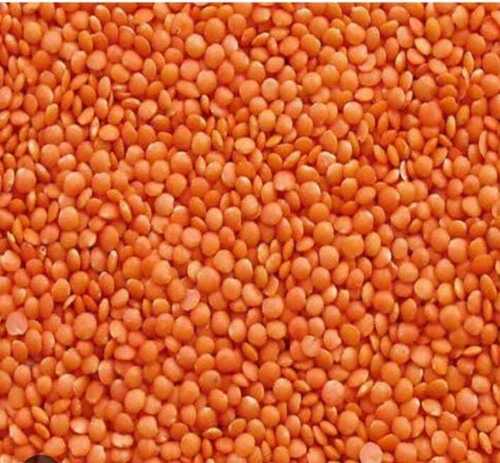 100% Pure Organic A Grade Masoor Dal For Cooking