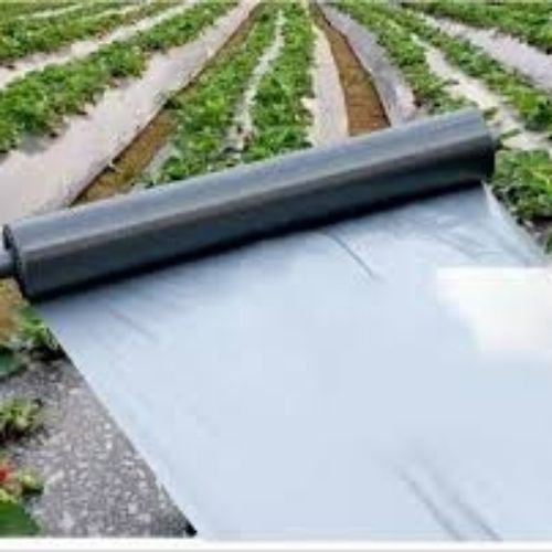 Premium Design Heat Resistant Agriculture Mulching Film