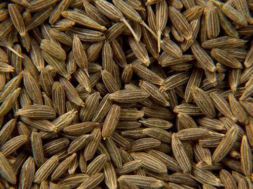 Cumin Seeds