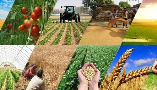 agriculture products