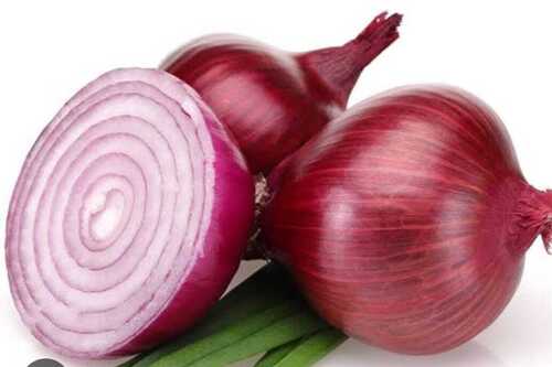 red onion                          
