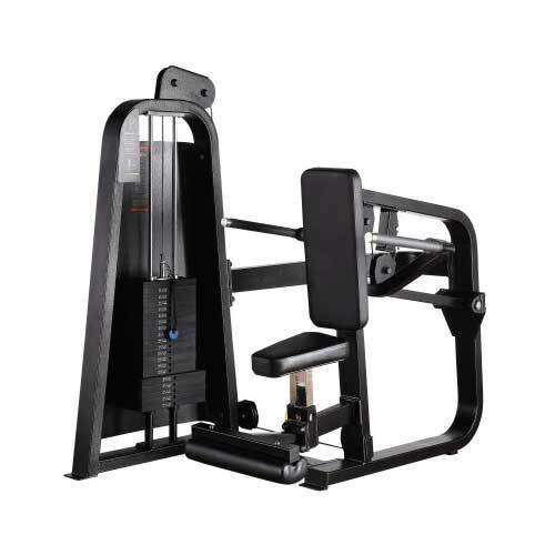 Adjustable Seated Dip Machine