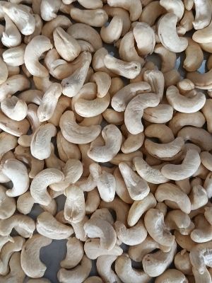 cashew kernel