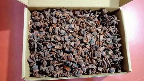 Indian Origin Fresh Dried Star Anise