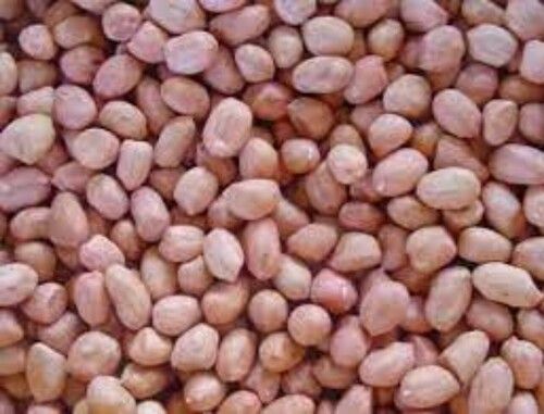 Groundnut Seeds