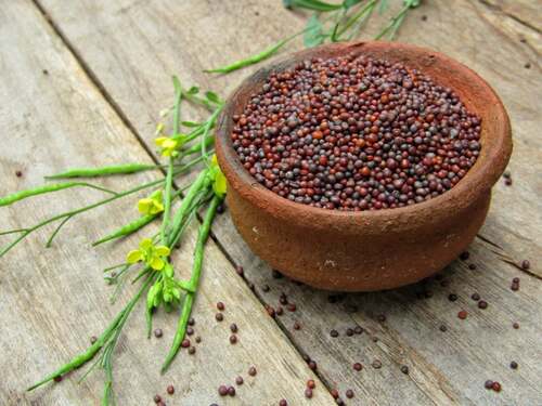 Mustard Seeds - Dark Brown, 99.9% Purity | Long Shelf Life, Time-Efficient Delivery, Quality Tested, Hygienically Packed at Nominal Price