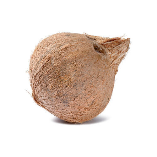 Healthy And Nutritious Natural Raw Coconut