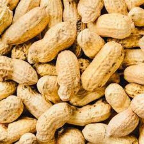 Raw Groundnut Seeds