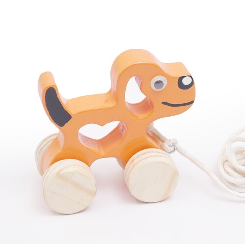 Multi Color Wooden Puppy Push Toy For Kids