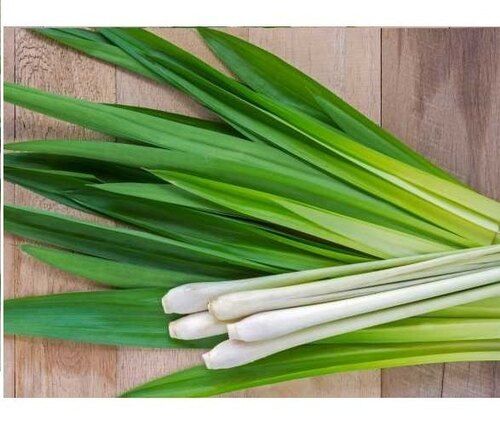 Organic Lemongrass Leaves