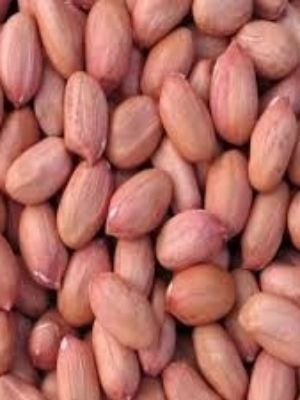 Ground Nuts Seeds