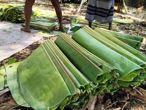 Paper Plate - 120-150 GSM Eco Friendly Green Paper Banana Leaf Plain Pattern