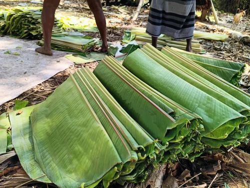 Eco Frienldy Paper Plain Pattern Banana Leaf