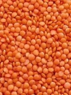 Masoor Dal