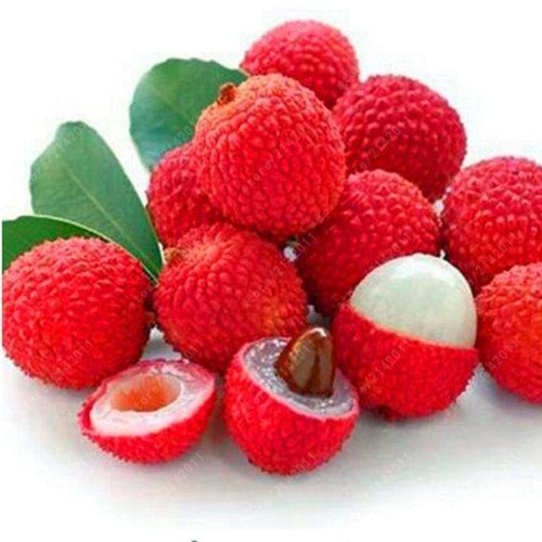 Fresh Organic Litchi