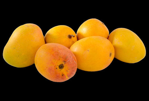 Ratnagiri Alphonso Mangoes