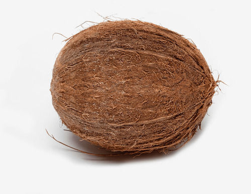 coconut