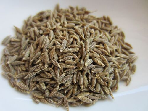 Dried Cumin Seed