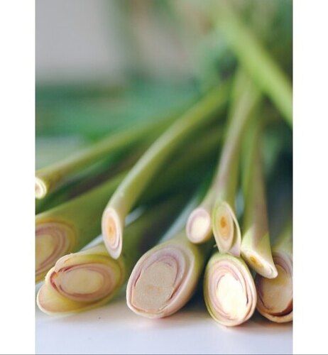 Pure Lemongrass Oil