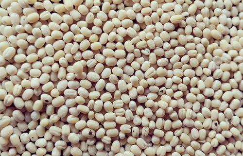 Urad Dhuli Dal By Mkt Dhall Processing Unit