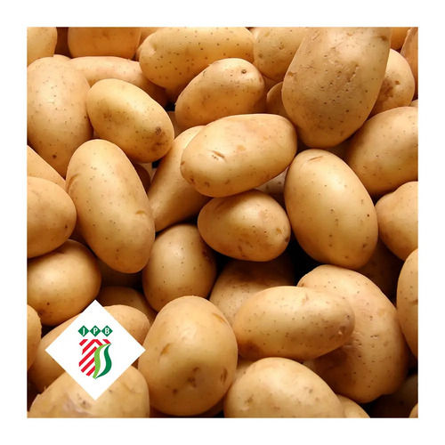 100% Pure Organic A Grade Natural Fresh Potato