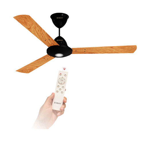 Remote control fan