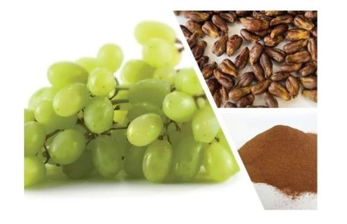 Grape Seed Extract Powder