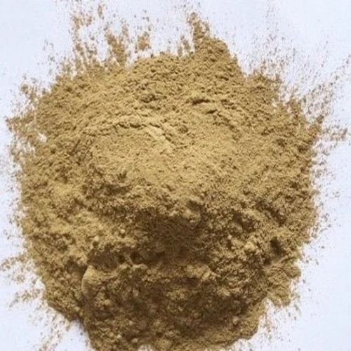 Hoodia Gordonii Powder - 10 to 25 kg, Yellowish Fine Powder, 5%-98% Herbal Extract, Food Grade & Pharmaceutical Quality