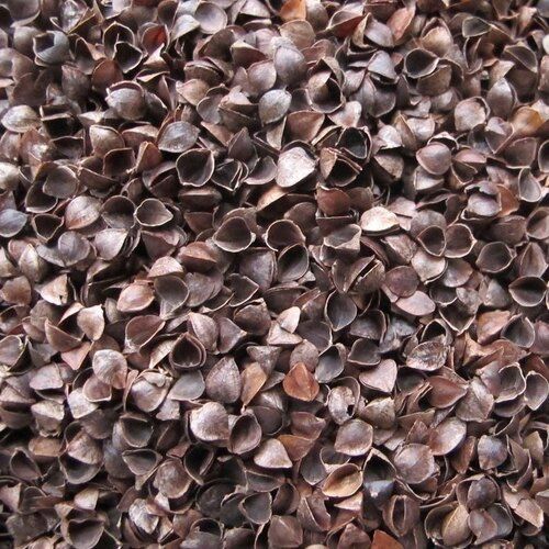 buckwheat hull