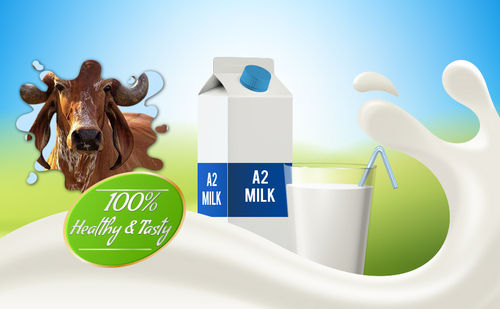 Desi Cow Milk