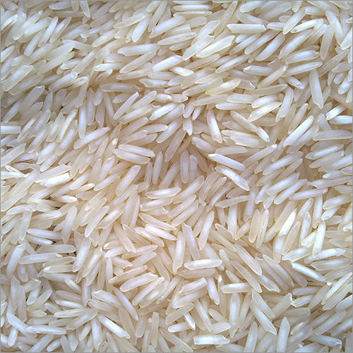 1509 Steam Rice