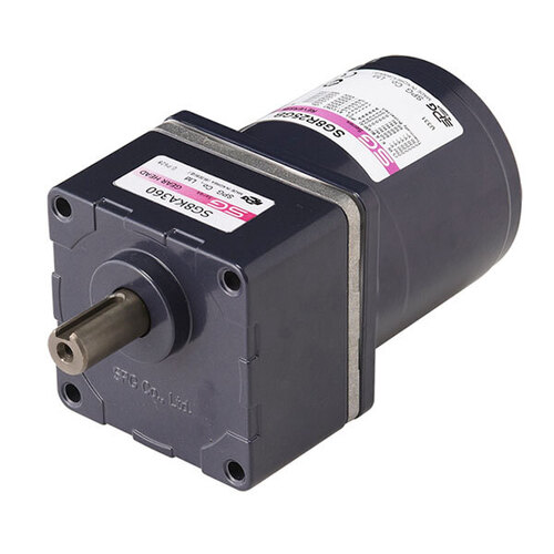 AC Reversible Motor