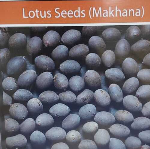 lotus seeds