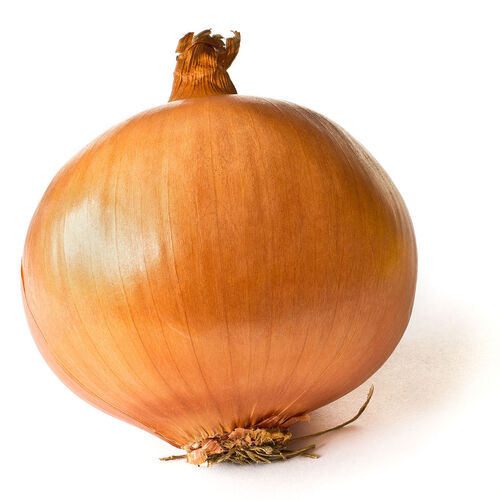 Brown Onion - Round And Oval Shape | Fresh, Nutritious, Rich In Taste, 15 Days Shelf Life