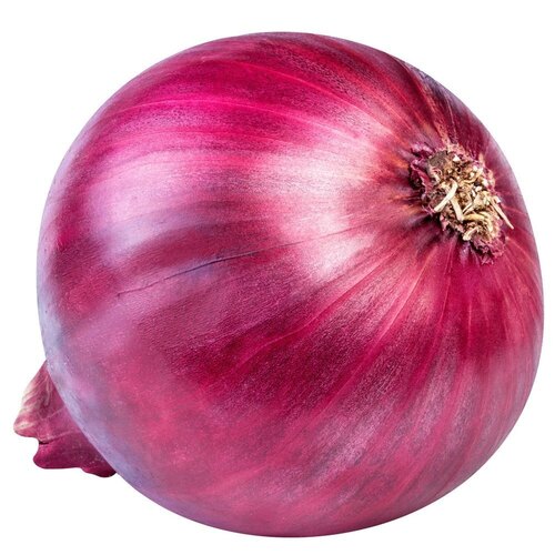 Fresh Red Onions - Round & Oval Shape, Healthy and Nutritious with Rich Taste, 10-Day Shelf Life