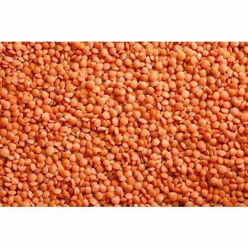 Whole Masoor Dal