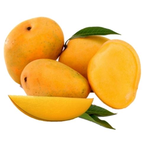 Fresh Kesar Mango Pulp