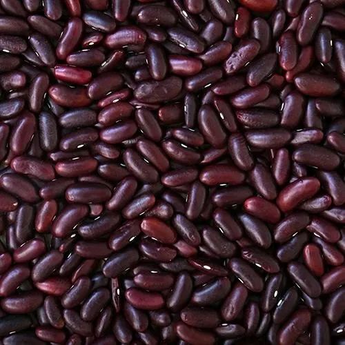 Organic Rajma