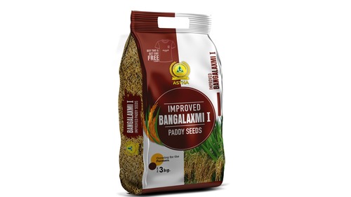 Paddy Seeds