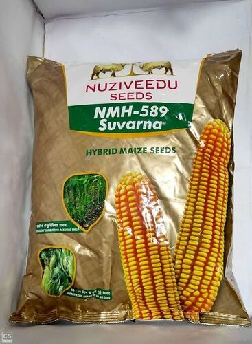 Organic Premim Design Hybrid Maize Seeds